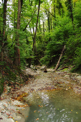 Similar image 5574441