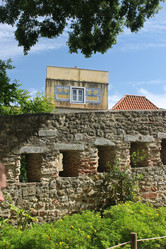 Similar image 5574497