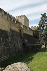 Similar image 5574505