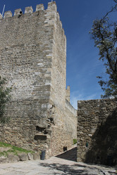 Similar image 5574506