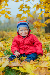 Similar image 5574764