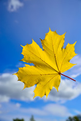 Similar image 5574792