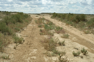 Similar image 5574799