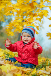 Similar image 5574857