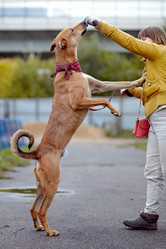 Similar image 5574938