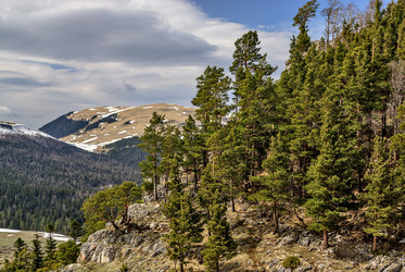 Similar image 5574942