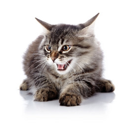 Similar image 5574960