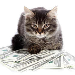 Similar image 5574968