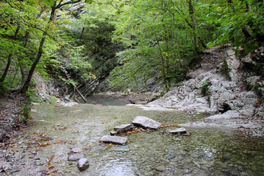 Similar image 5574970