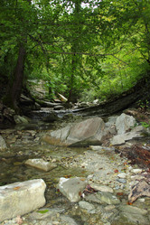 Similar image 5574972