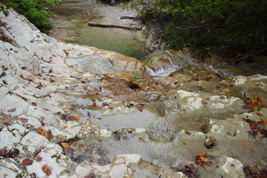 Similar image 5574973