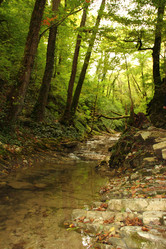 Similar image 5574975