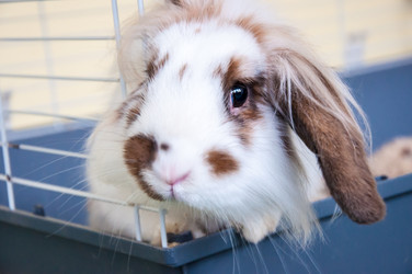 Similar image 5574978