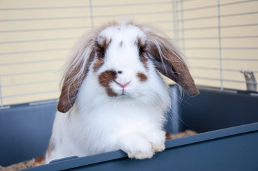 Similar image 5574983