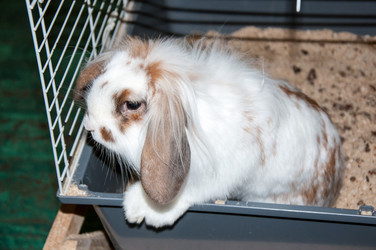 Similar image 5574984