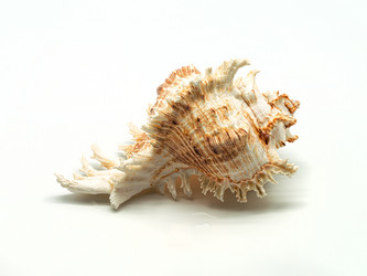 Similar image 5574992