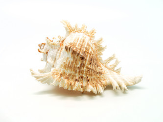 Similar image 5574993