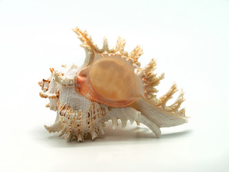 Similar image 5574994