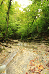 Similar image 5574996