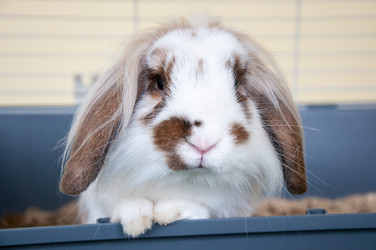 Similar image 5575006