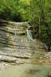 Similar image 5575007