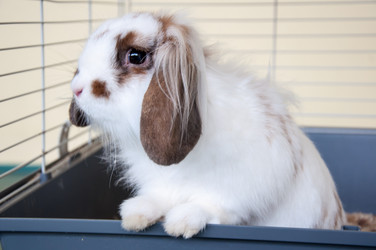 Similar image 5575008