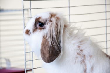 Similar image 5575022