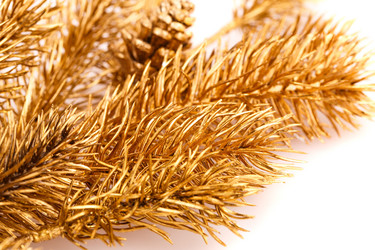 Similar image 5575077