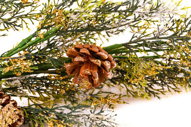 Similar image 5575078