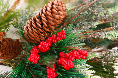 Similar image 5575082