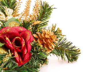 Similar image 5575084