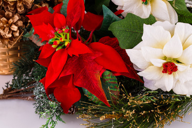 Similar image 5575091