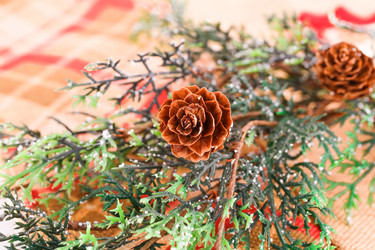 Similar image 5575095