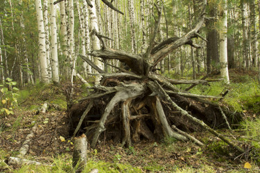 Similar image 5575353