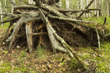 Similar image 5575354