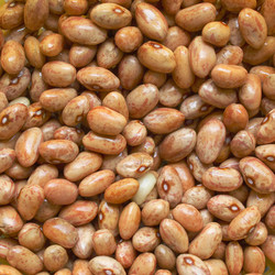 Similar image 5575362