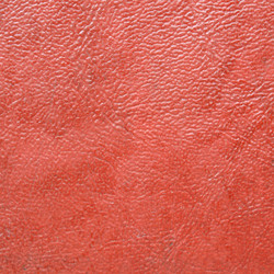 Similar image 5575363