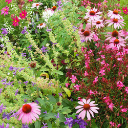 Similar image 5575378