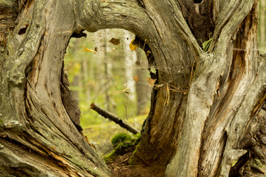 Similar image 5575392