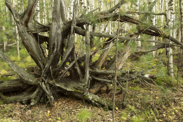 Similar image 5575393