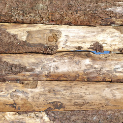 Similar image 5575417