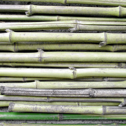 Similar image 5575446