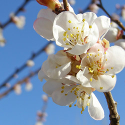 Similar image 5575467