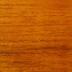 Similar image 5575476