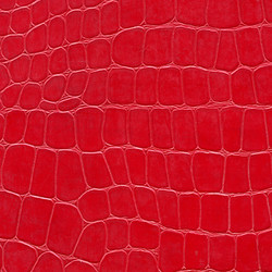 Similar image 5575495