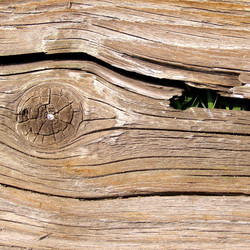 Similar image 5575499