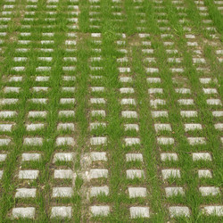 Similar image 5575529