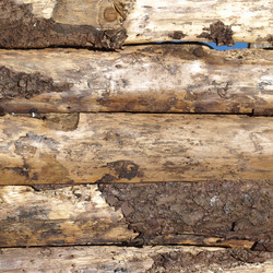 Similar image 5575549