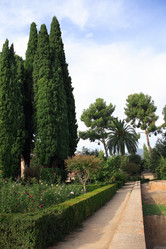 Similar image 5576276