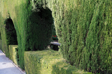 Similar image 5576278